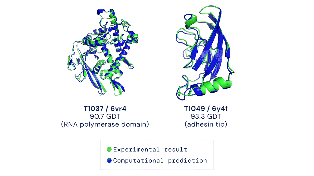 AlphaFold protein examples